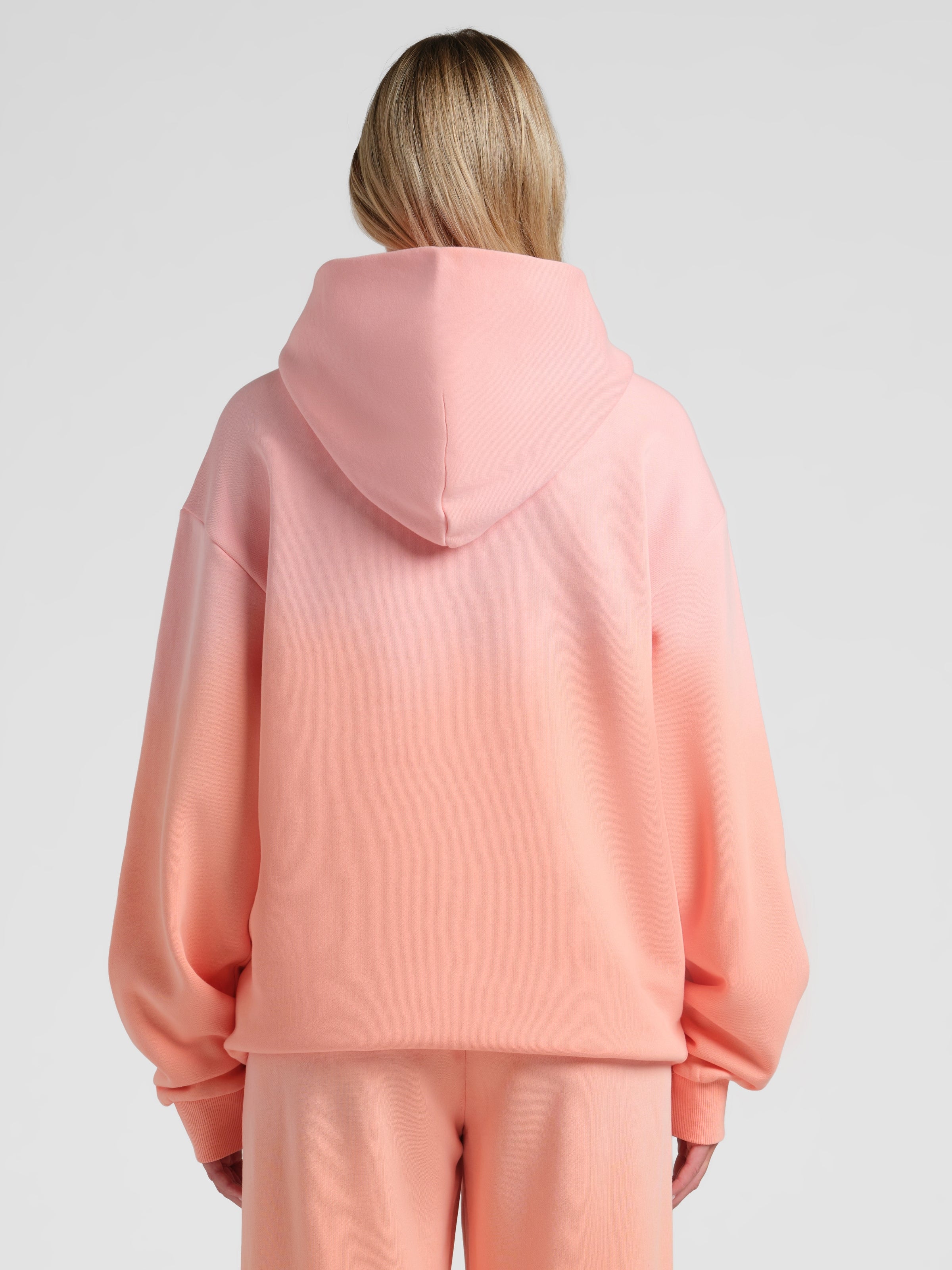 Sunwashed Hoodie