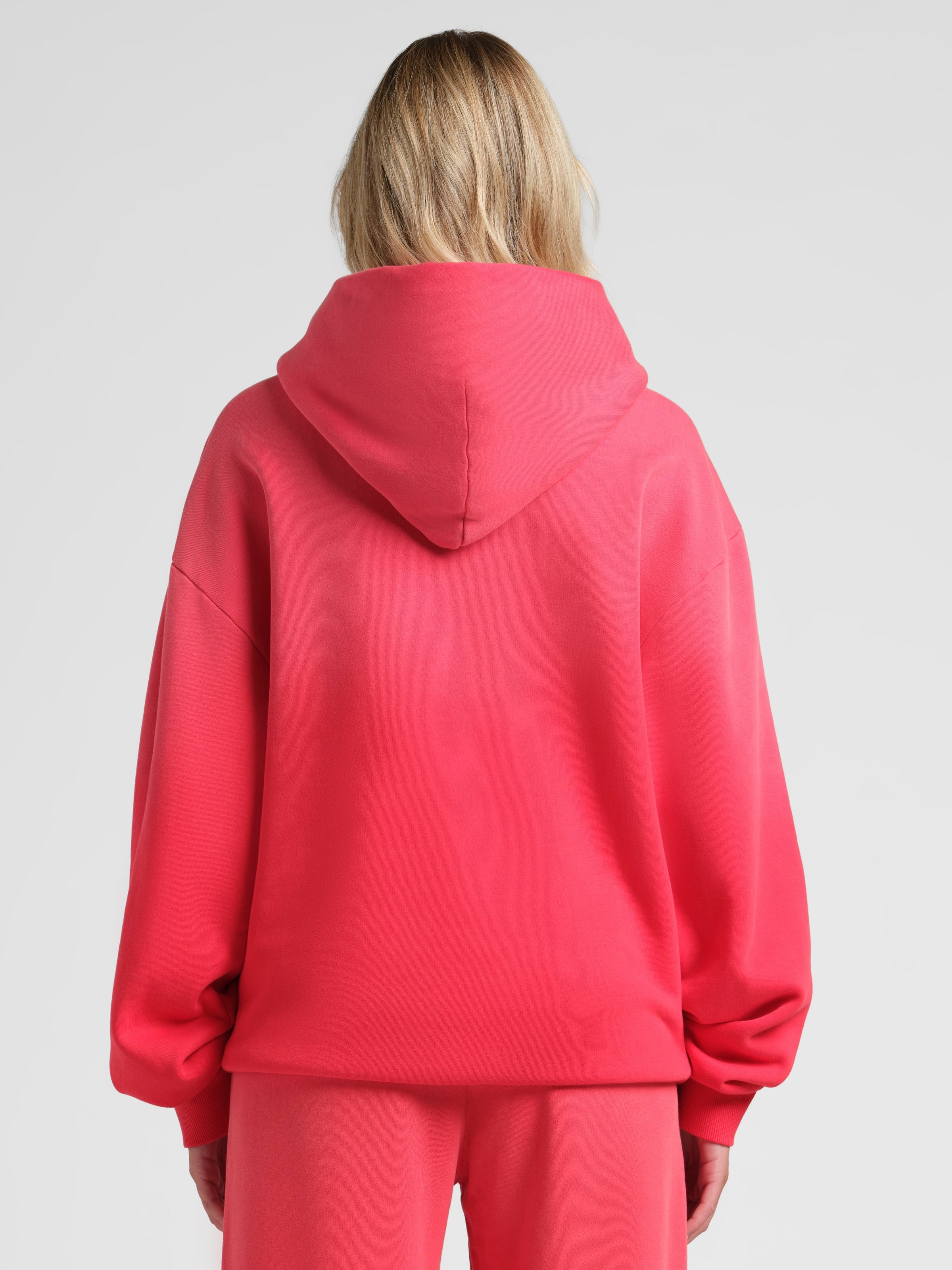 Sunwashed Hoodie